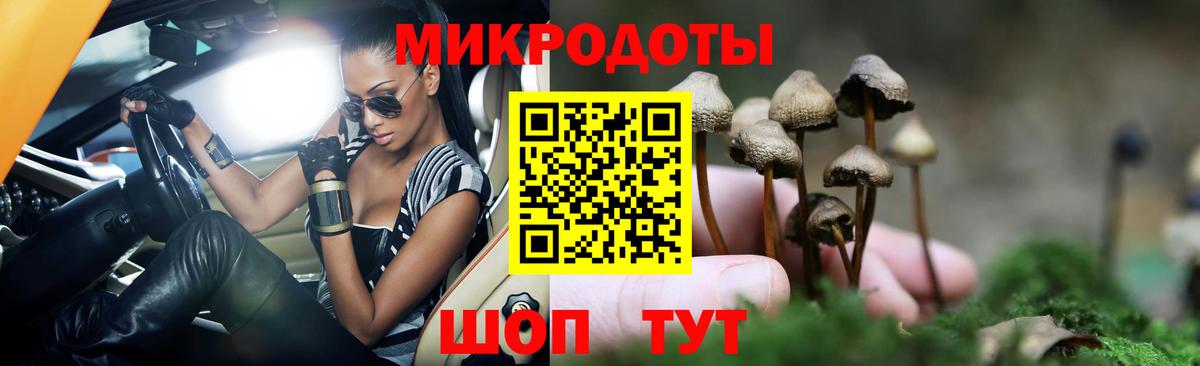 Псилоцибиновые грибы ЛСД Алейск